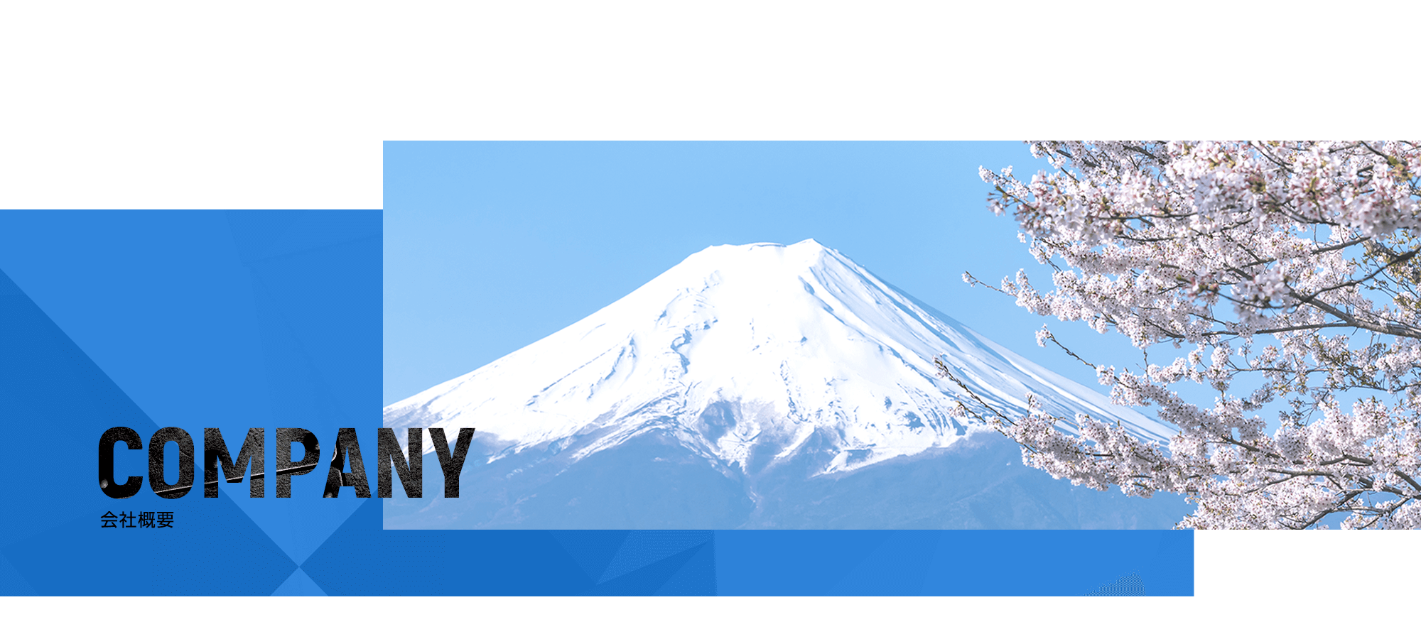 会社概要
